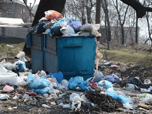 Municipal Solid Waste (MSW)